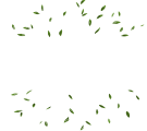 Logo ZensparkMedia Alpha